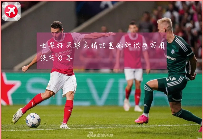 世界杯买球竞猜的基础知识与实用技巧分享