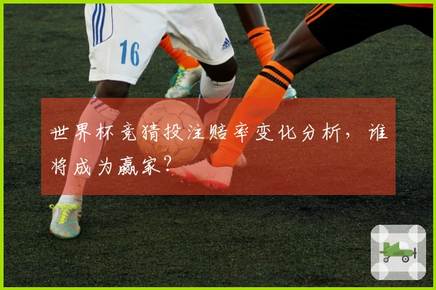 世界杯竞猜投注赔率变化分析，谁将成为赢家？