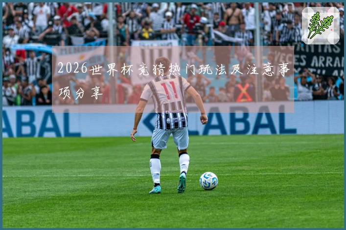 2026世界杯竞猜热门玩法及注意事项分享