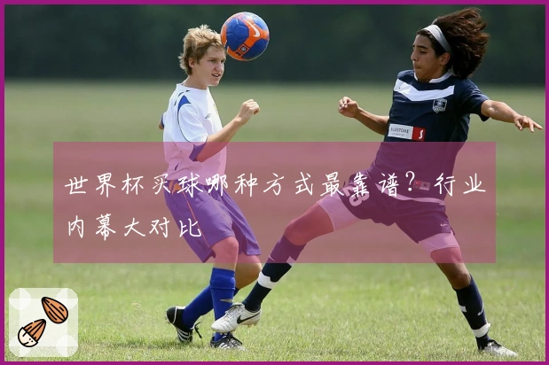 世界杯买球哪种方式最靠谱？行业内幕大对比