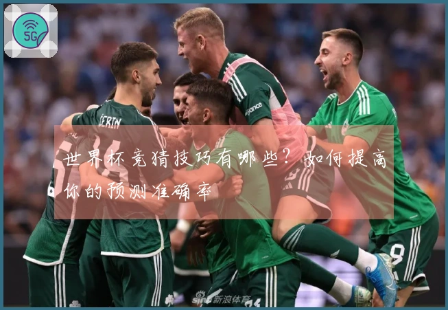 世界杯竞猜技巧有哪些？如何提高你的预测准确率