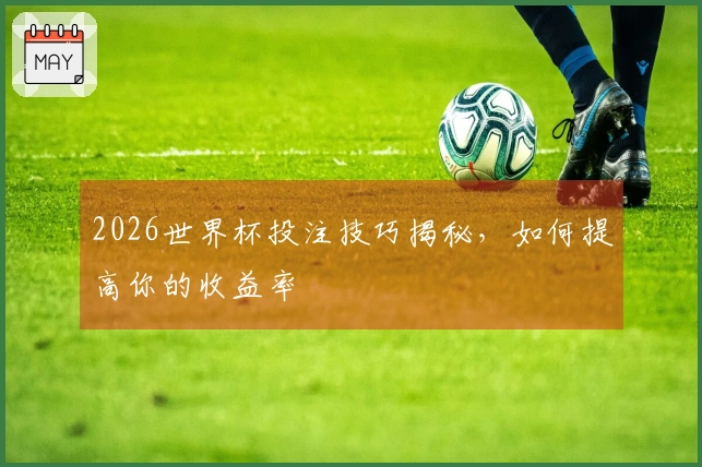 2026世界杯投注技巧揭秘，如何提高你的收益率