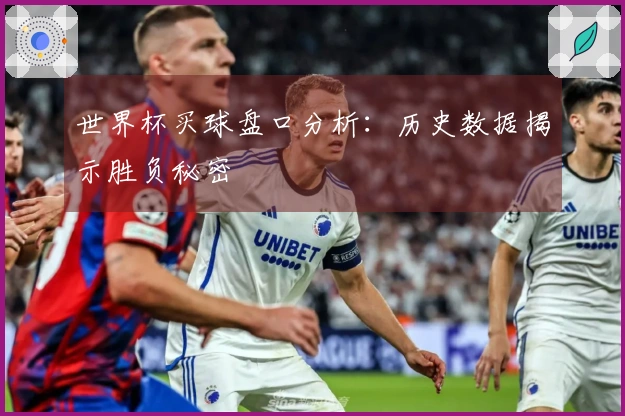 世界杯买球盘口分析：历史数据揭示胜负秘密