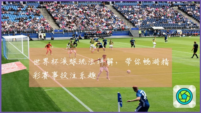 世界杯滚球玩法详解，带你畅游精彩赛事投注乐趣