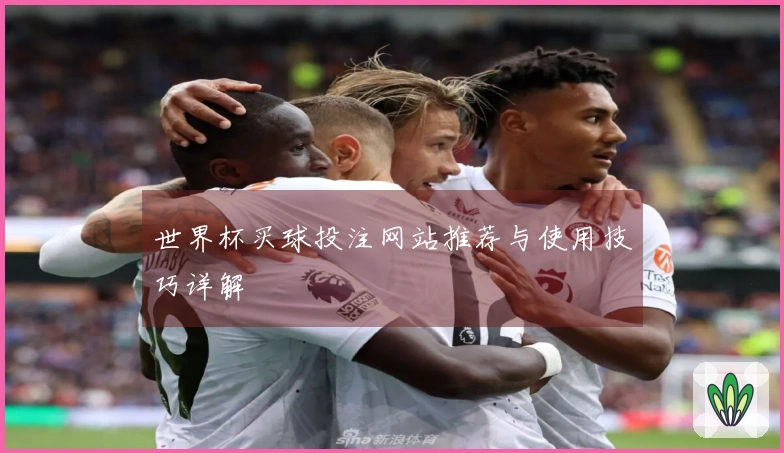世界杯买球投注网站推荐与使用技巧详解
