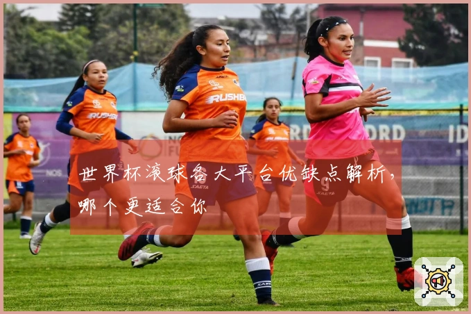 世界杯滚球各大平台优缺点解析，哪个更适合你