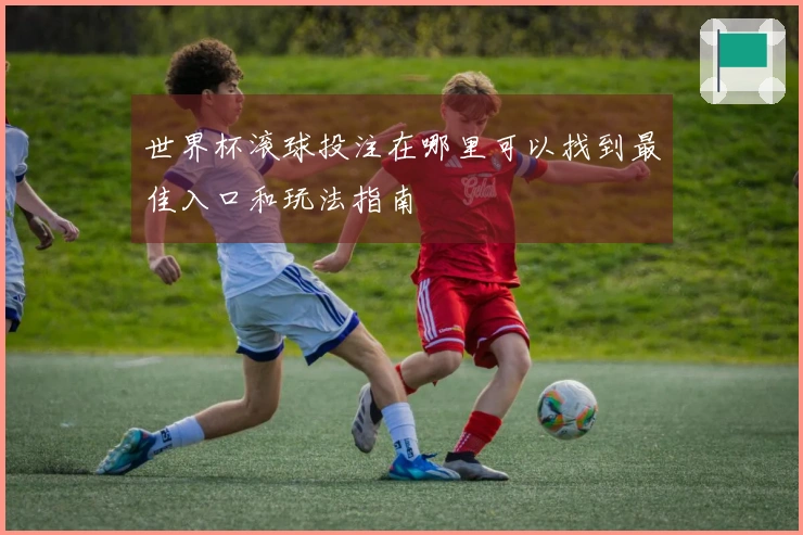 世界杯滚球投注在哪里可以找到最佳入口和玩法指南