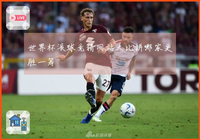 世界杯滚球竞猜网站大比拼哪家更胜一筹