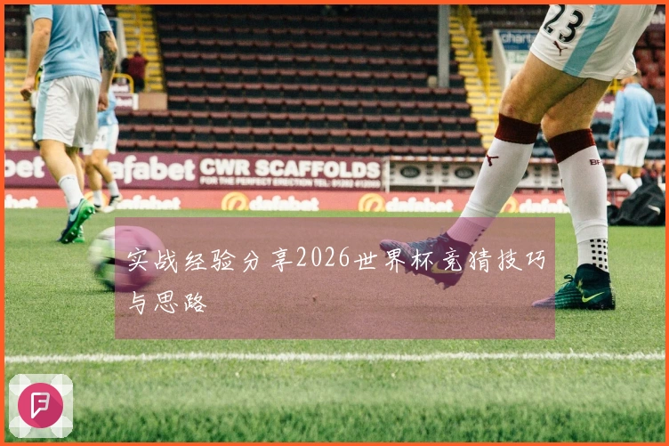 实战经验分享2026世界杯竞猜技巧与思路
