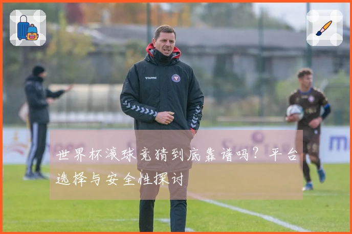 世界杯滚球竞猜到底靠谱吗？平台选择与安全性探讨