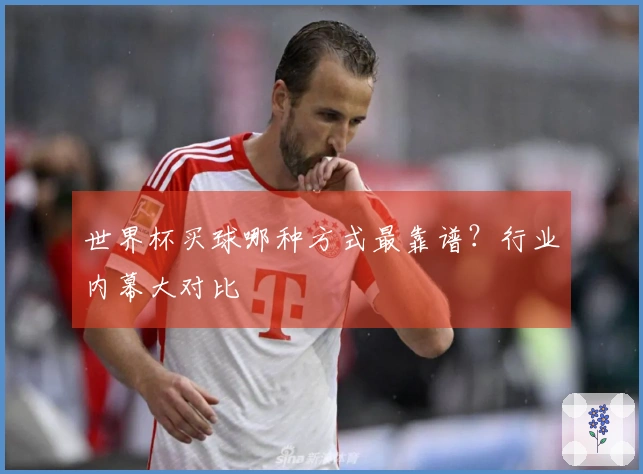世界杯买球哪种方式最靠谱？行业内幕大对比