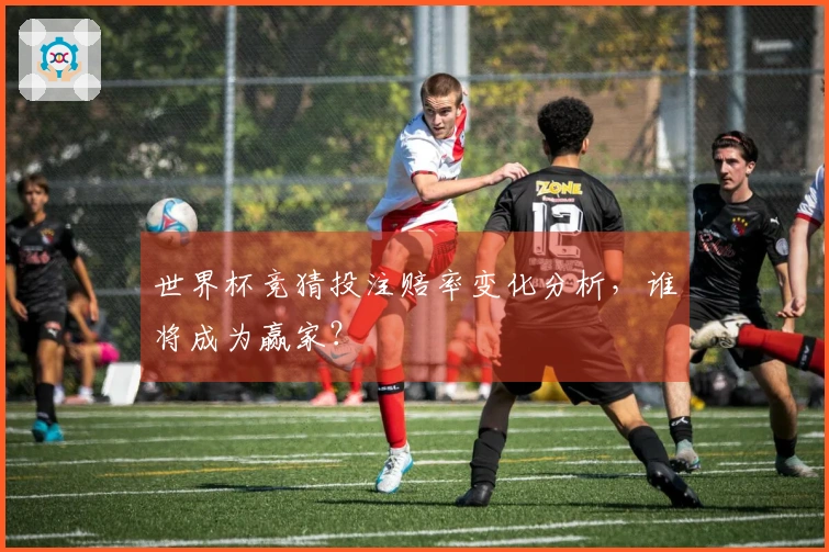 世界杯竞猜投注赔率变化分析，谁将成为赢家？