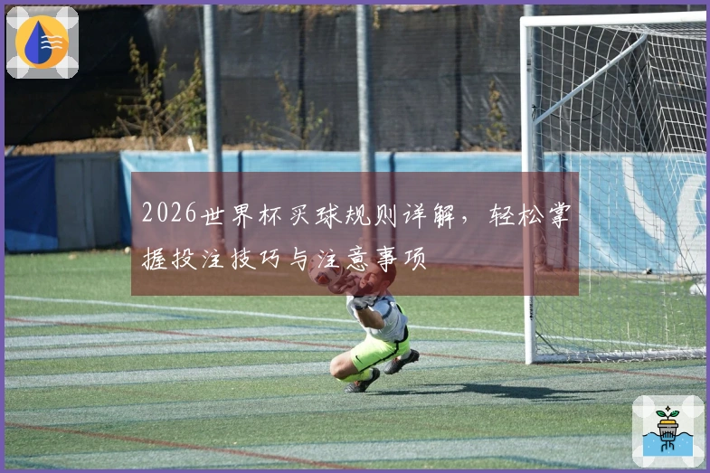 2026世界杯买球规则详解，轻松掌握投注技巧与注意事项