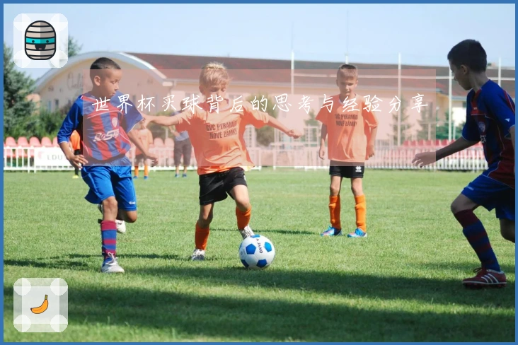 世界杯买球背后的思考与经验分享