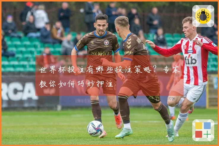 世界杯投注有哪些投注策略？专家教你如何巧妙押注