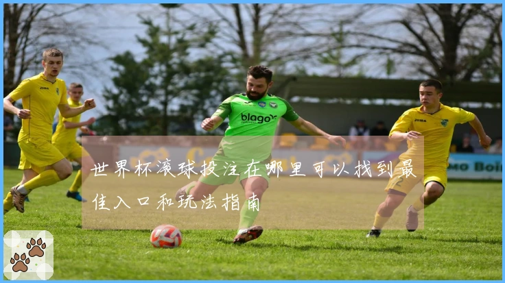 世界杯滚球投注在哪里可以找到最佳入口和玩法指南