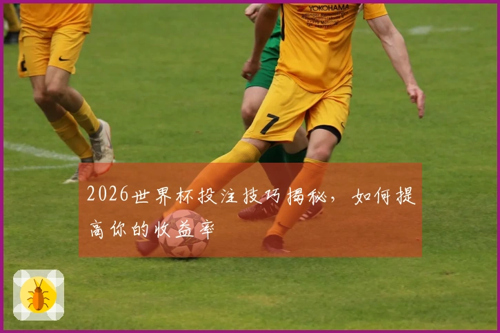 2026世界杯投注技巧揭秘，如何提高你的收益率