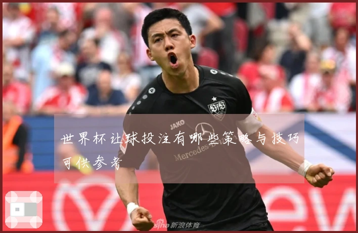 世界杯让球投注有哪些策略与技巧可供参考