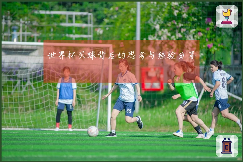 世界杯买球背后的思考与经验分享