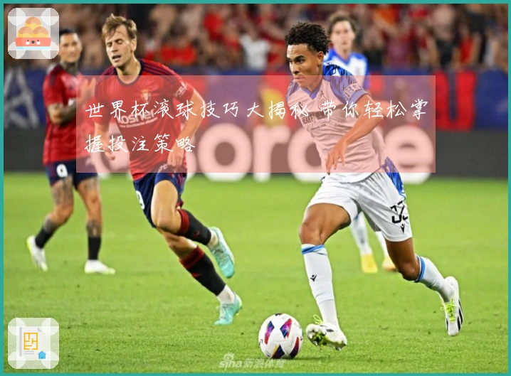 世界杯滚球技巧大揭秘 带你轻松掌握投注策略