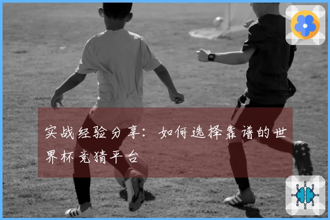 实战经验分享：如何选择靠谱的世界杯竞猜平台
